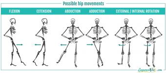 Hip Flexors & Strong Glutes: Creating A Balance